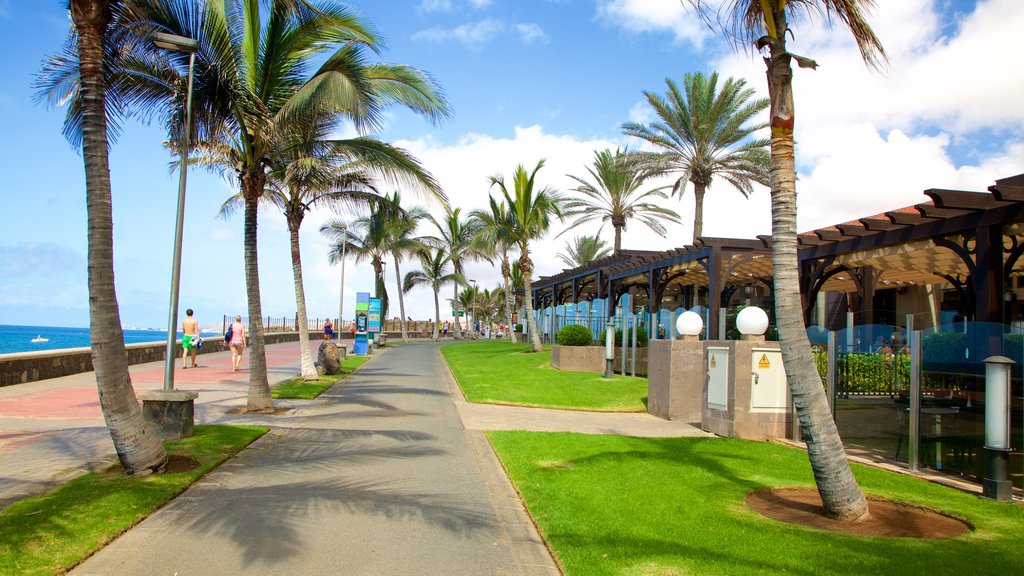 Maspalomas showing a coastal town and tropical scenes