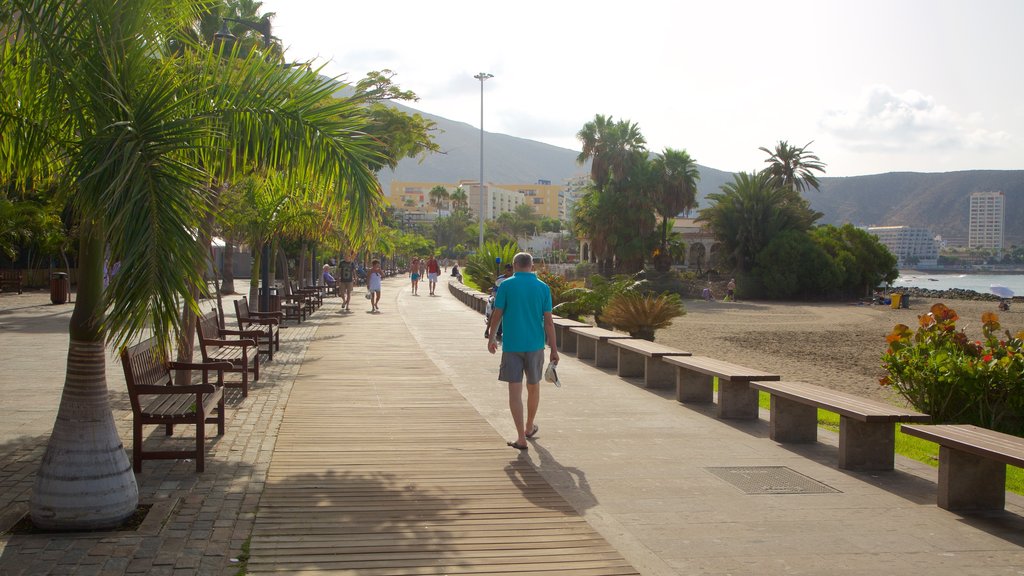 Los Cristianos showing a square or plaza