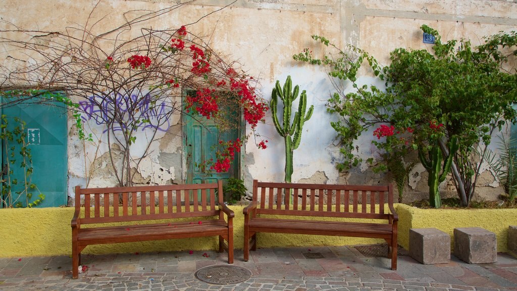 Los Cristianos which includes a square or plaza