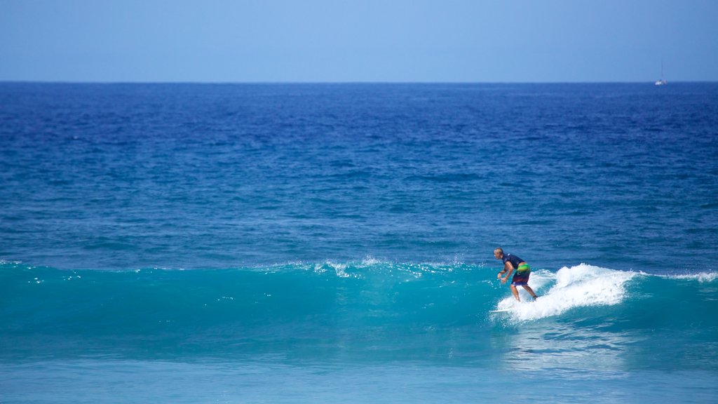 Las Americas Beach showing surf and surfing as well as an individual male