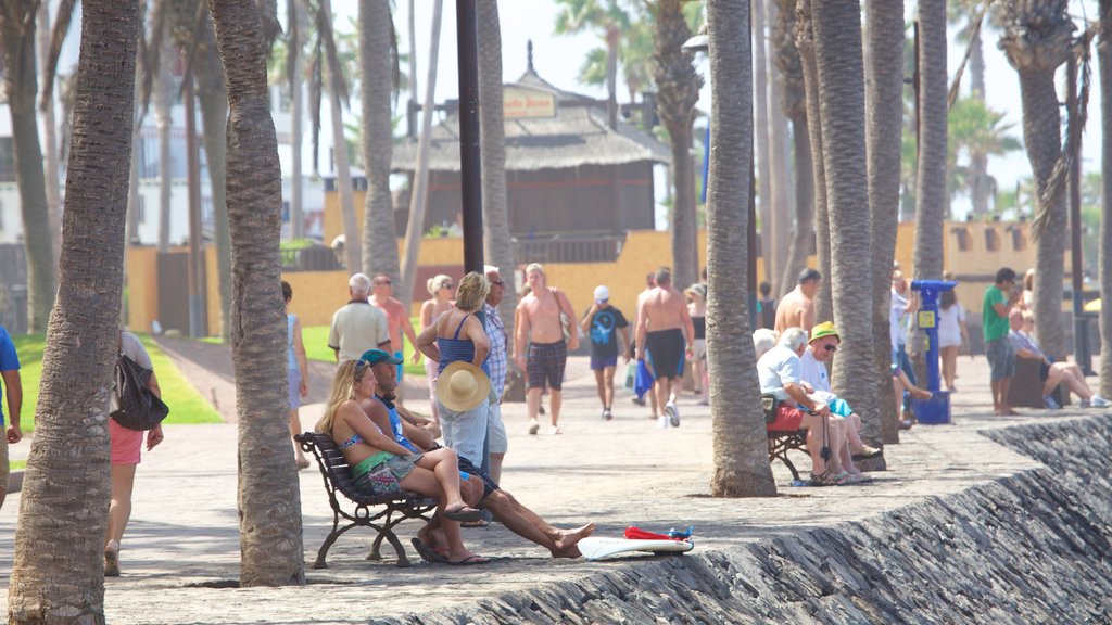 Playa de las Americas showing general coastal views