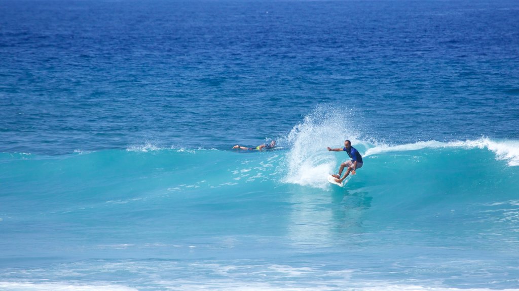 Playa de las Americas caracterizando ondas e surfe assim como um homem sozinho