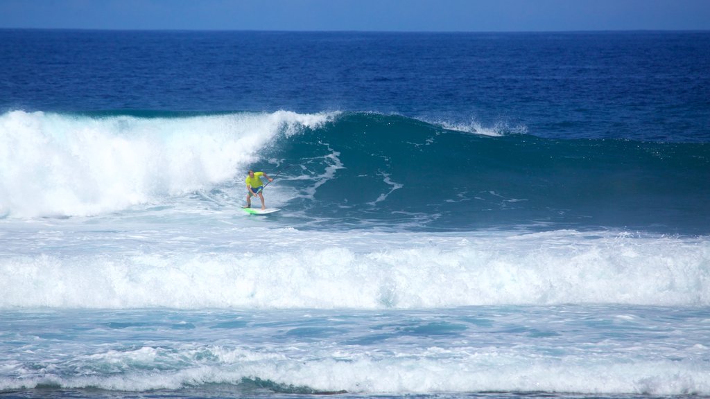 Playa de las Américas que incluye surf y olas y también un hombre