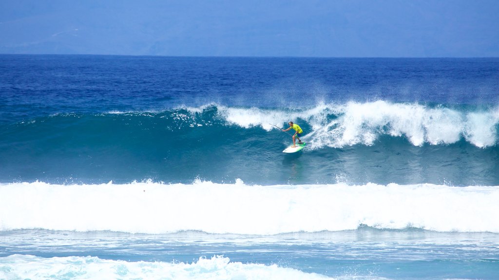 Playa de las Américas que incluye surf y olas y también un hombre