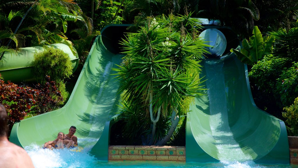 Siam Park showing a water park as well as an individual male