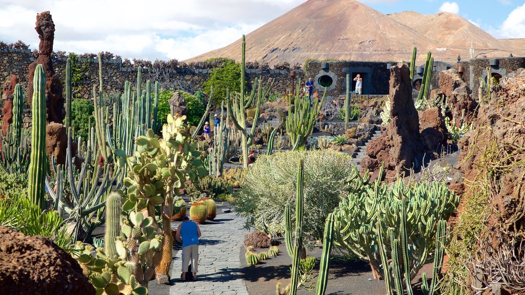 Cactus Garden som omfatter en park