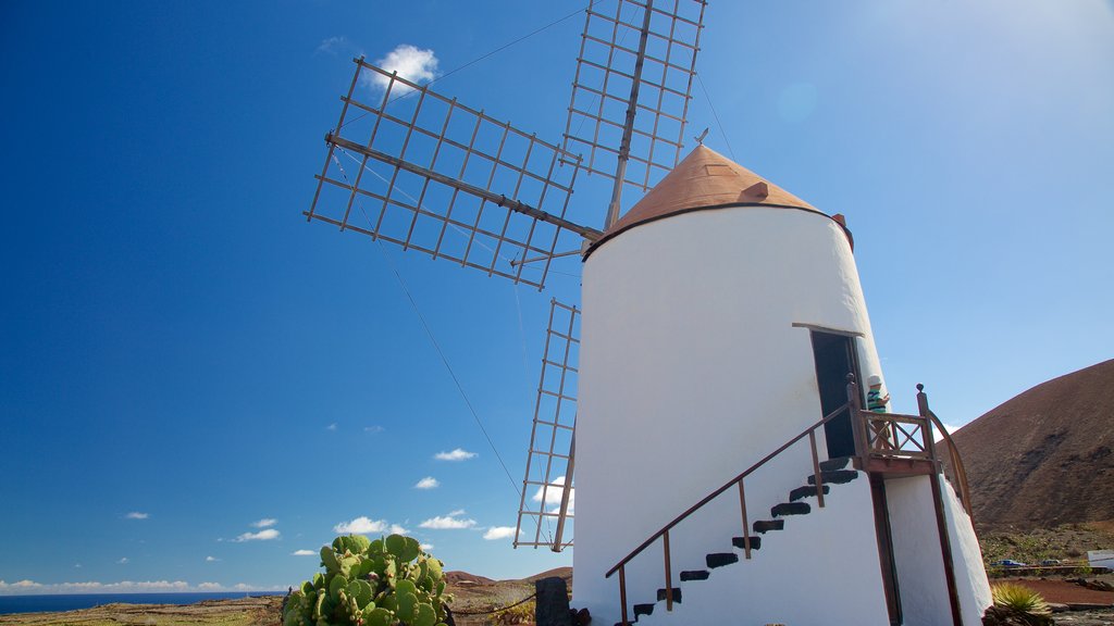 Cactus Garden which includes a windmill and a park