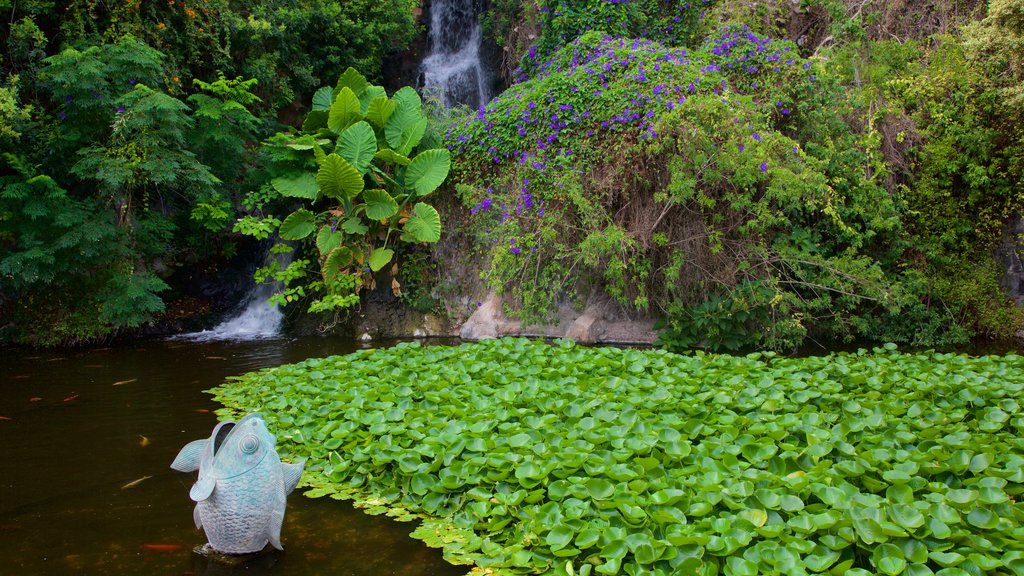 Loro Parque mostrando un estanque, selva y un jardín