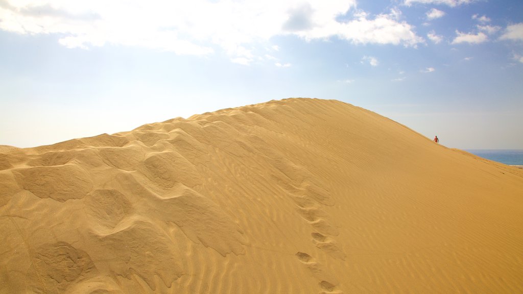 Maspalomas Dunes which includes desert views