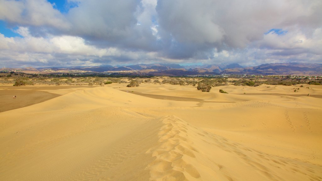 Dunas de Maspalomas que inclui paisagens do deserto