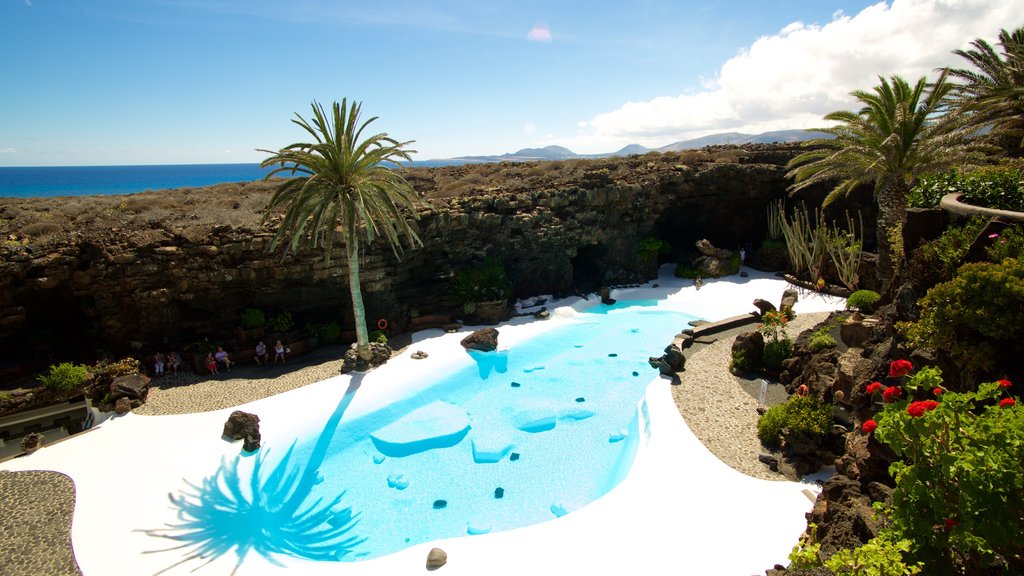 Jameos del Agua showing a pool