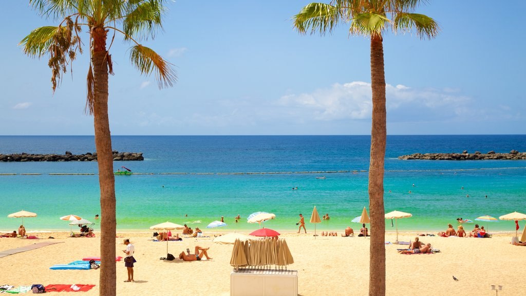 Praia Amadores mostrando paisagens litorâneas e uma praia de areia