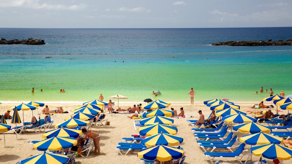 Amadores Beach showing general coastal views, a luxury hotel or resort and a beach