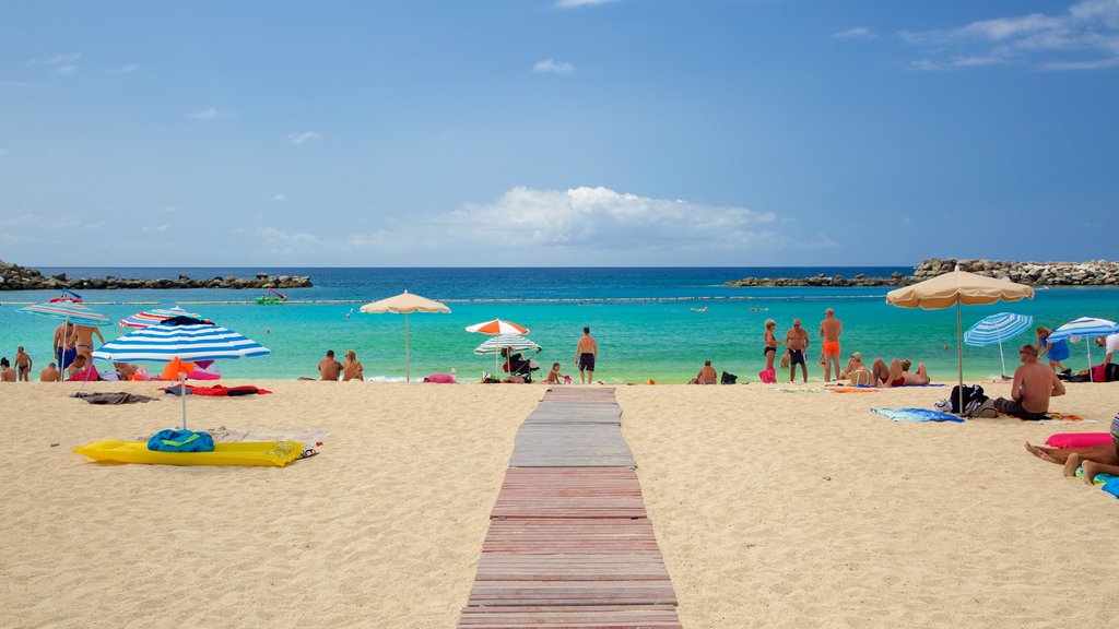 Amadores Beach showing general coastal views and a beach