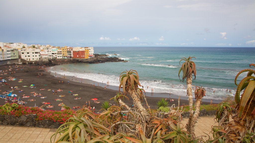 Playa Jardín toont algemene kustgezichten en een kuststadje