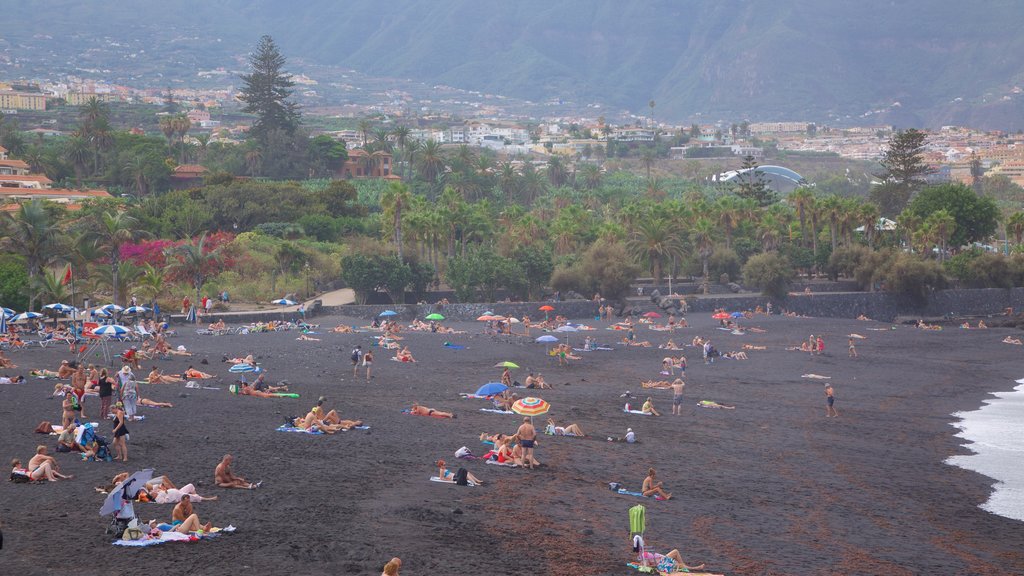 Playa Jardín mostrando vistas generales de la costa