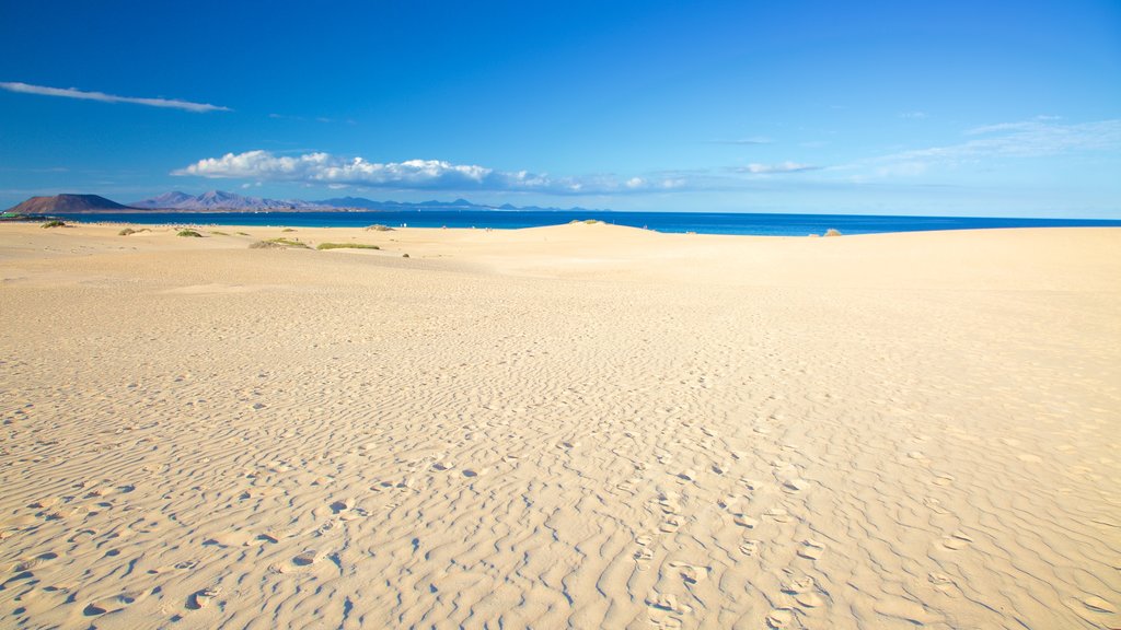 Corralejo Dunes Natural Park showing a sandy beach