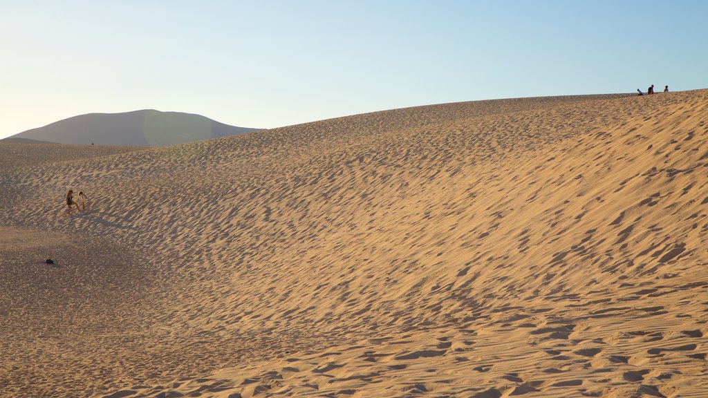 La Oliva which includes a sandy beach