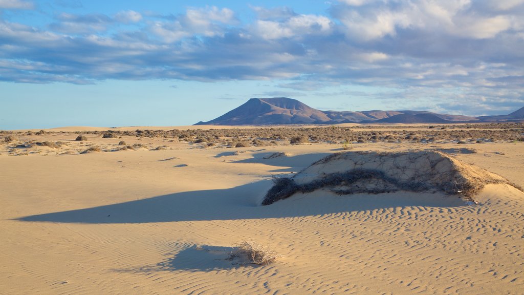 La Oliva ofreciendo montañas y una playa de arena