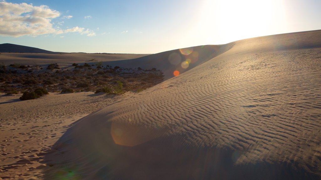 Corralejo Dunes Natural Park featuring a sunset and a sandy beach