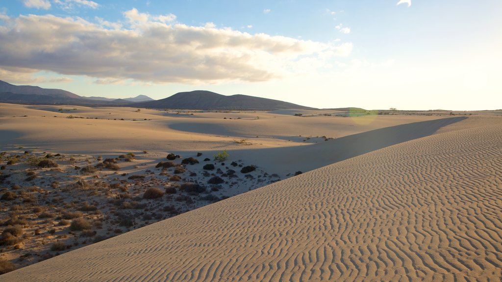 La Oliva que incluye una puesta de sol, una playa de arena y montañas