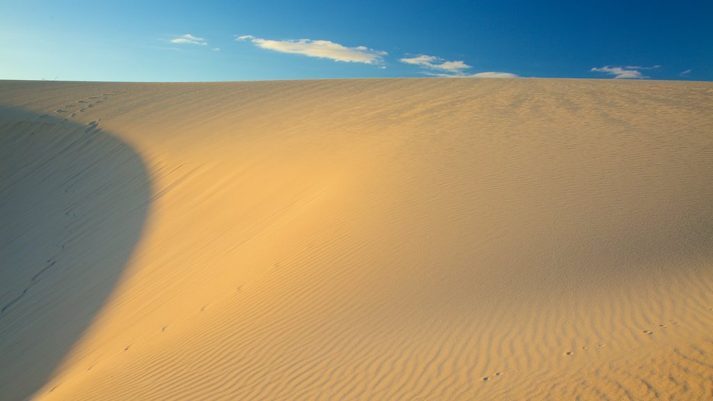 Corralejo Dunes Natural Park featuring a sandy beach