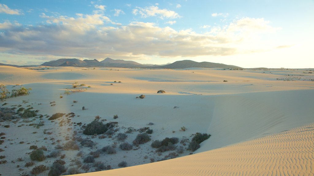 Corralejo Dunes Natural Park which includes mountains and a sandy beach