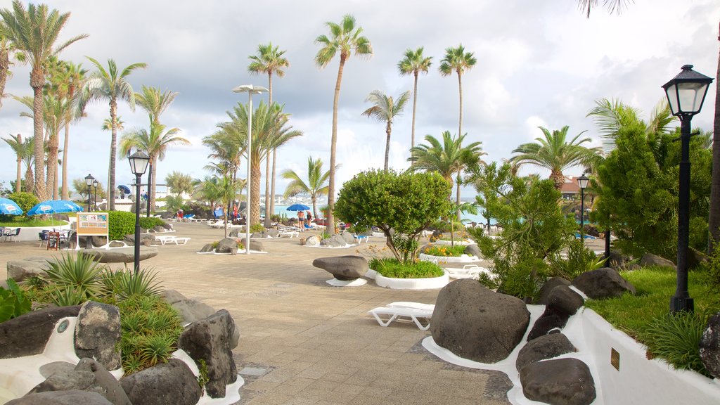 Lago Martianez Swimming Pools showing a luxury hotel or resort