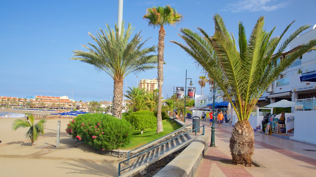 Praia de Las Vistas que inclui uma cidade litorânea