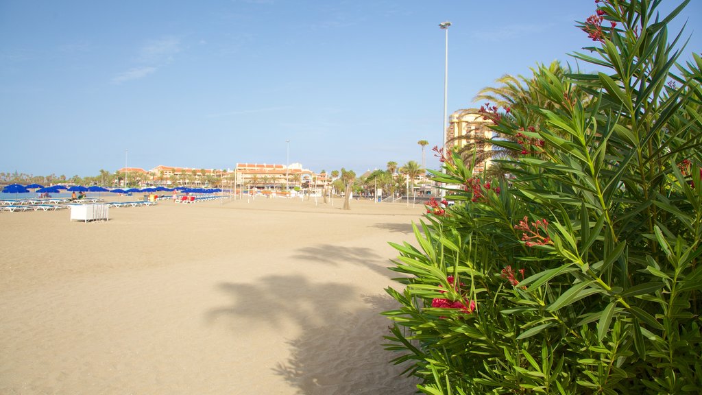 Playa de Las Vistas que incluye una playa de arena y vistas generales de la costa