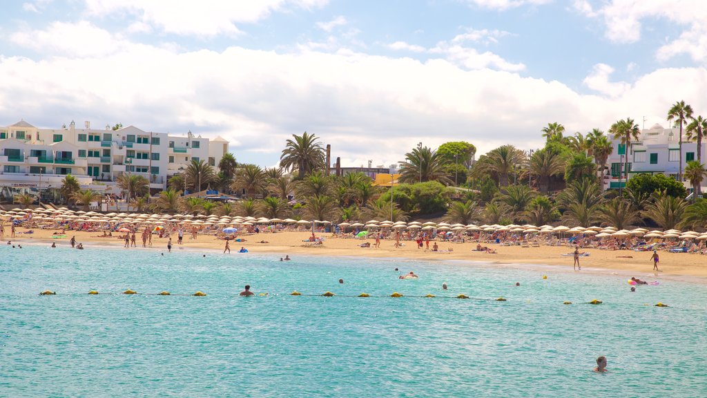 Las Cucharas Beach showing swimming, a beach and general coastal views