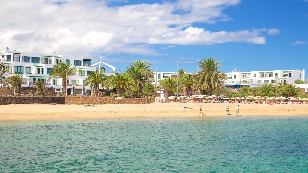 Praia Las Cucharas que inclui uma cidade litorânea, uma praia de areia e paisagens litorâneas