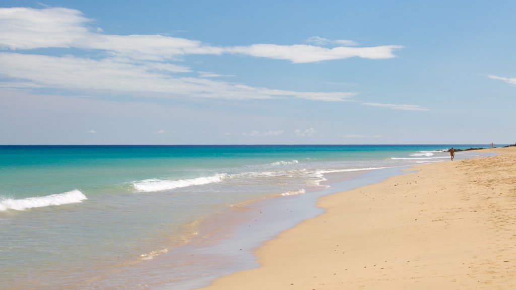 Playa de Sotavento de Jandía caracterizando uma praia, paisagem e paisagens litorâneas