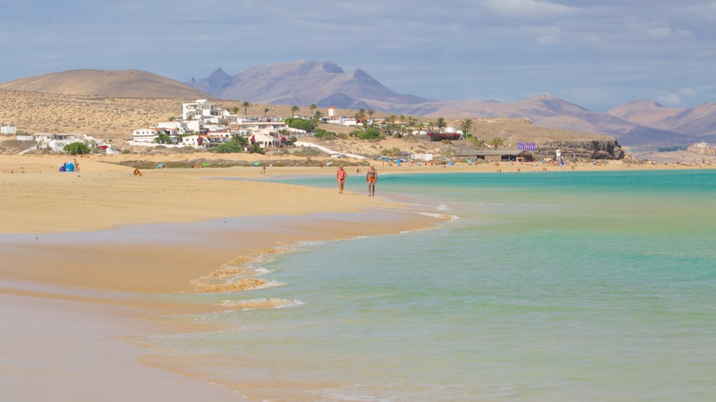 Playa de Sotavento de Jandía mostrando una playa, una ciudad costera y escenas tranquilas