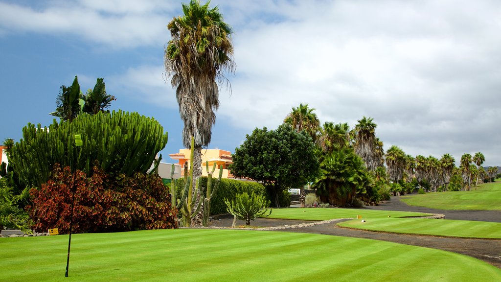 Golf Costa Adeje which includes golf and tropical scenes