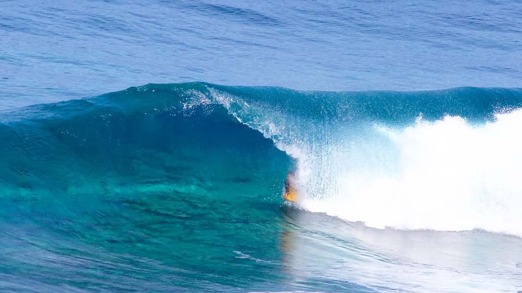 Caleta de Arriba featuring surfing, general coastal views and waves