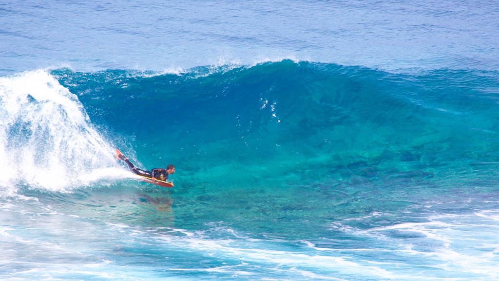 Gran Canaria showing general coastal views, surf and colourful reefs