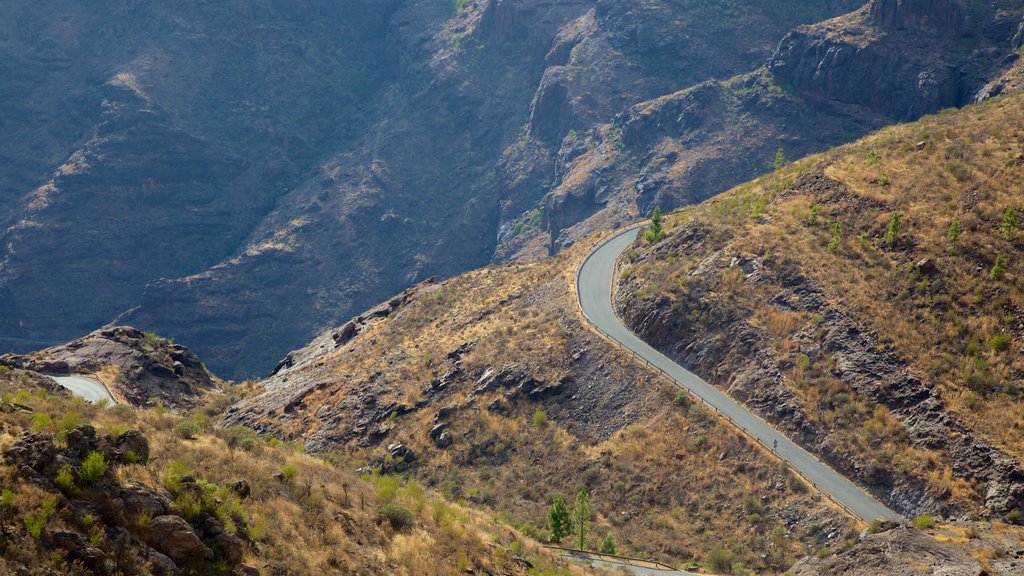 Grande Canarie montrant paysages paisibles et une gorge ou un canyon