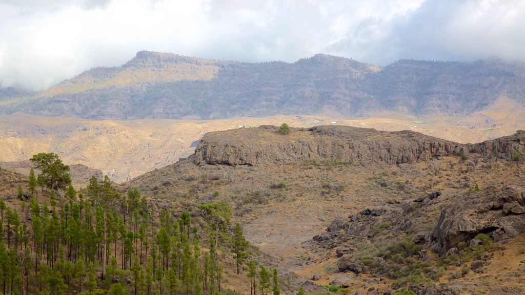 Gran Canaria bevat vredige uitzichten en mist of nevel