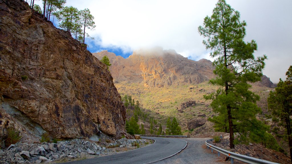 Canary Islands featuring mountains