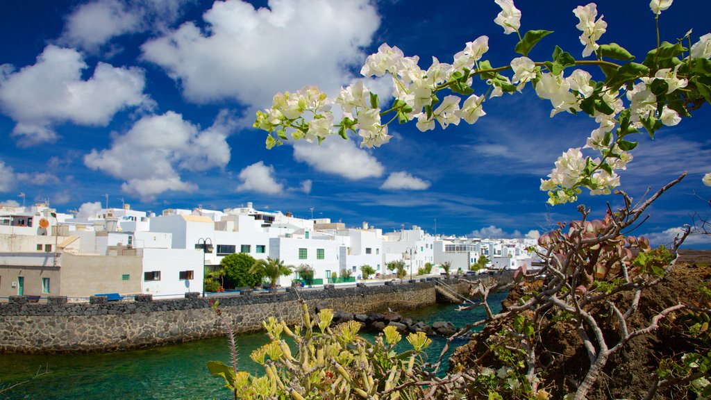 Lanzarote which includes flowers, a coastal town and general coastal views