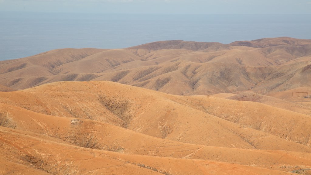 Tenerife montrant paysages paisibles