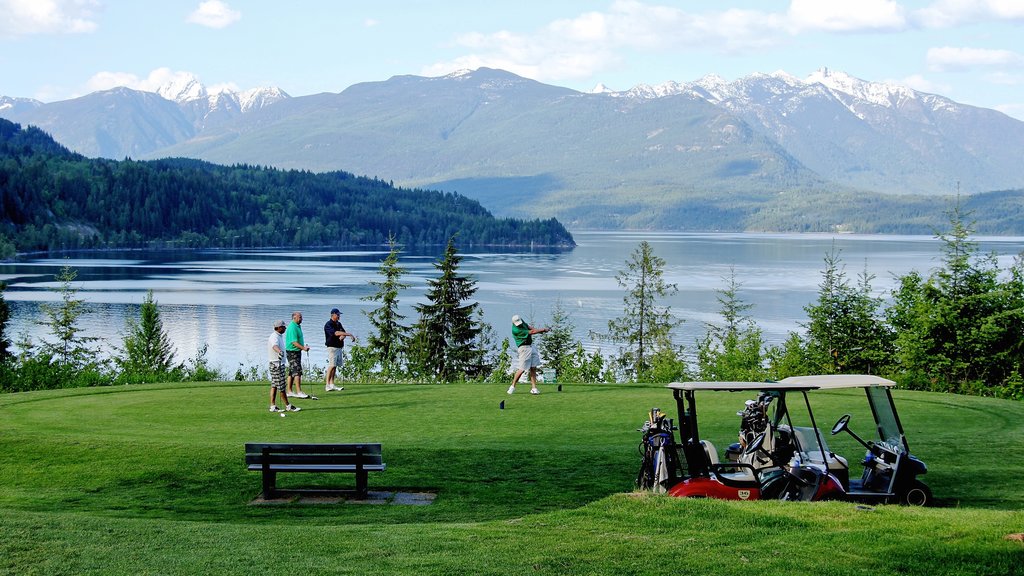 Nelson ofreciendo golf, montañas y un lago o espejo de agua