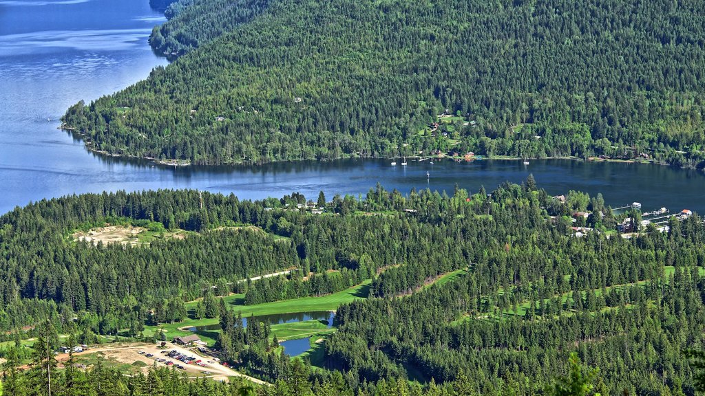 Nelson mostrando un lago o espejo de agua y bosques