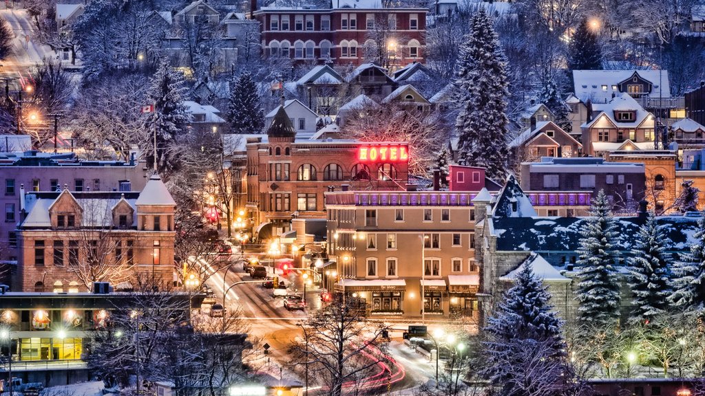 Nelson featuring snow, night scenes and a city