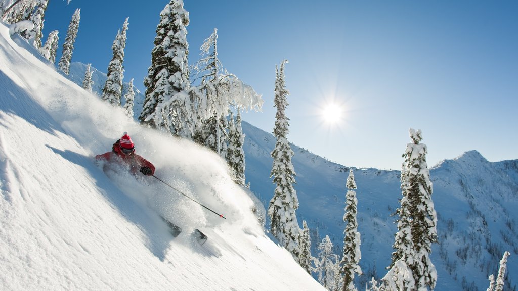 Nelson bevat skiën, sneeuw en bergen