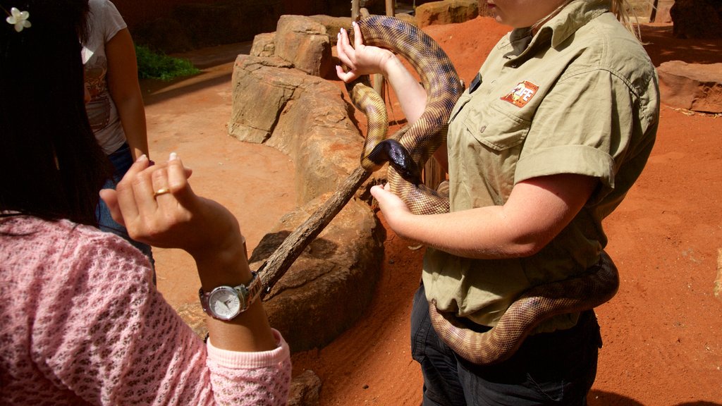 Wildlife Sydney caracterizando animais perigosos