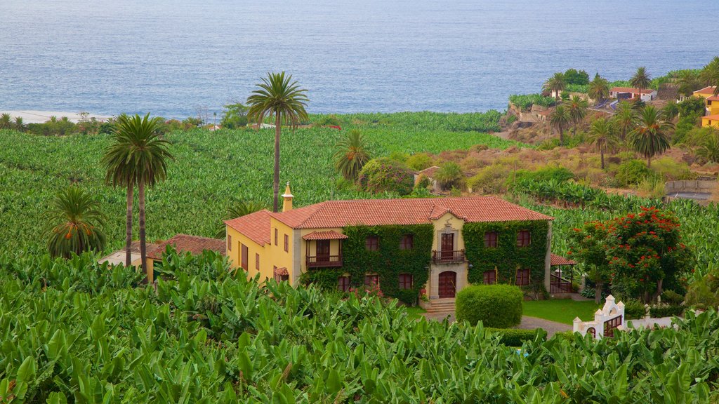 Tenerife mostrando una casa, vista general a la costa y escenas tropicales