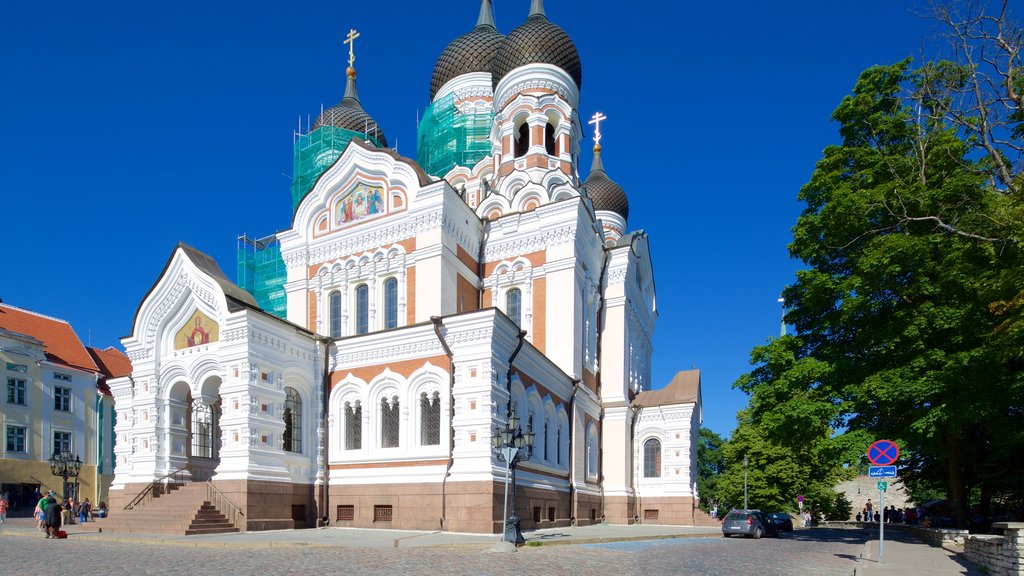 Kathedraal Alexander Nevsky toont een kerk of kathedraal