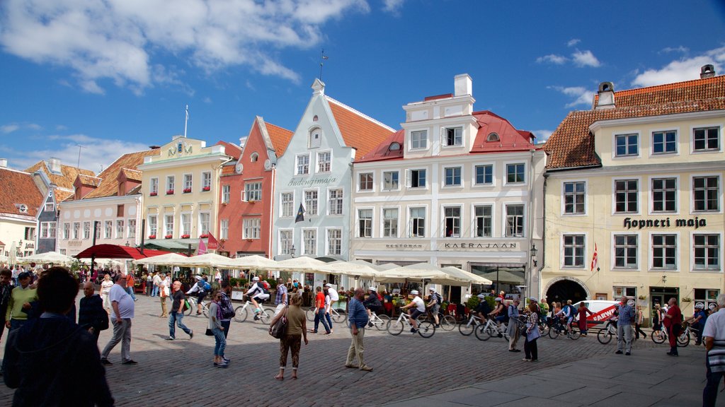 Rådhuspladsen som viser historiske bygningsværker, shopping og en plads eller et torv